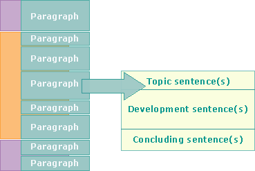 Txxxc paragraph structure example pdf